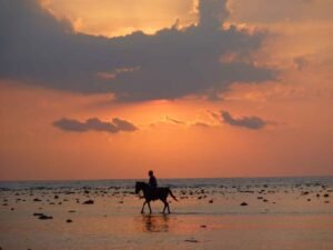 Horse riding in Bali